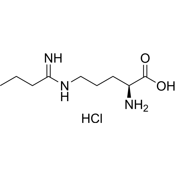 Ethyl-L-NIO hydrochloride 150403-97-7